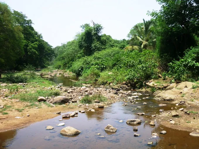 Amirthi Zoological Park